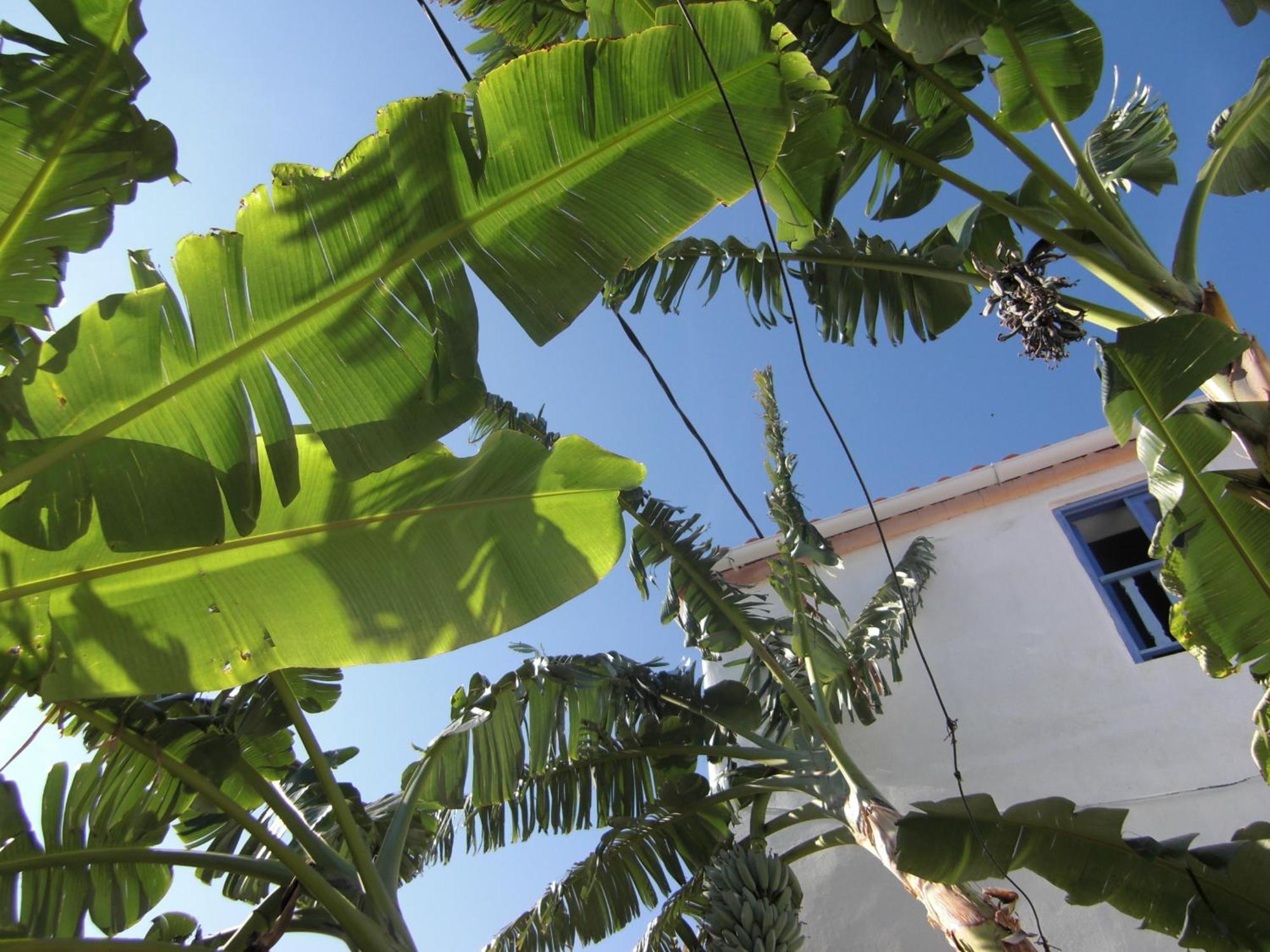 Villa Artistic Home- 250yr Old Traditional *